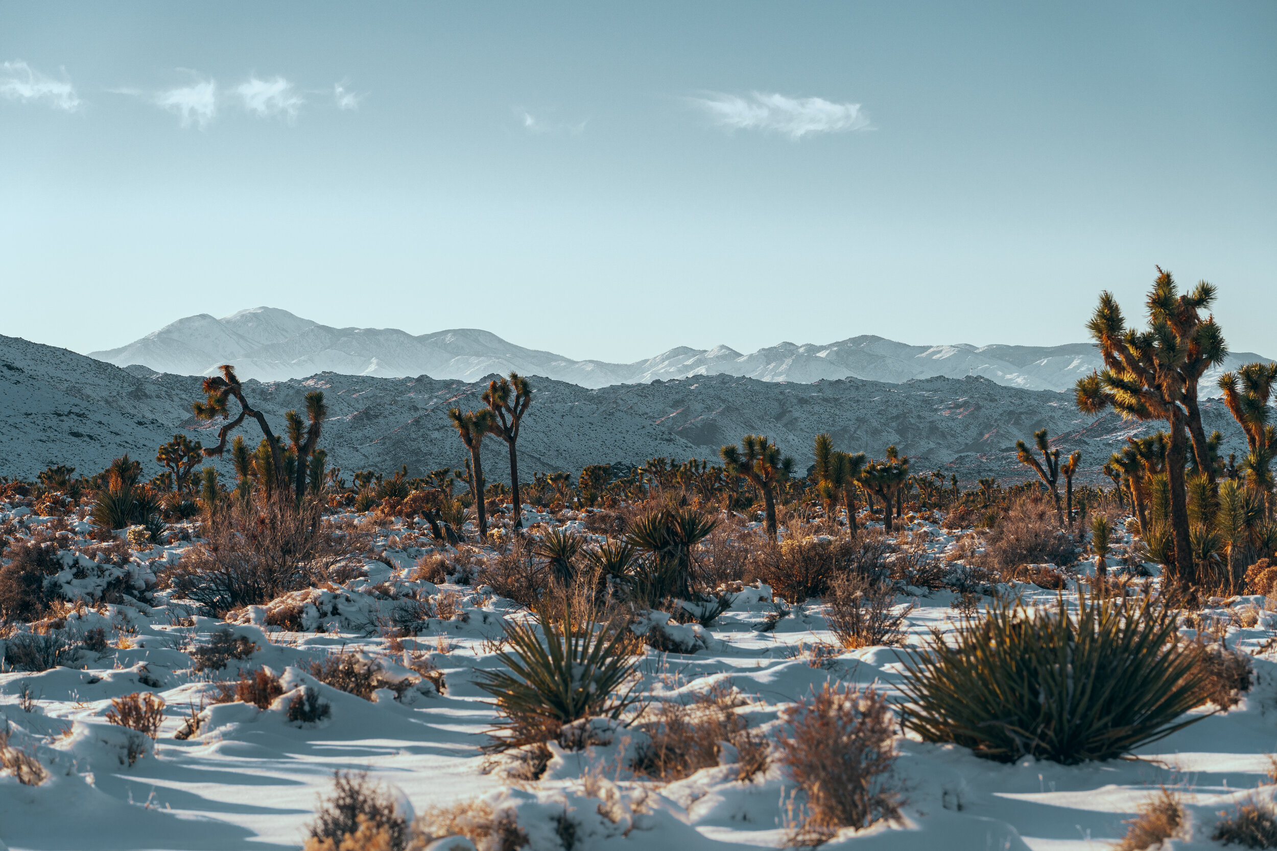 California1-88.jpg