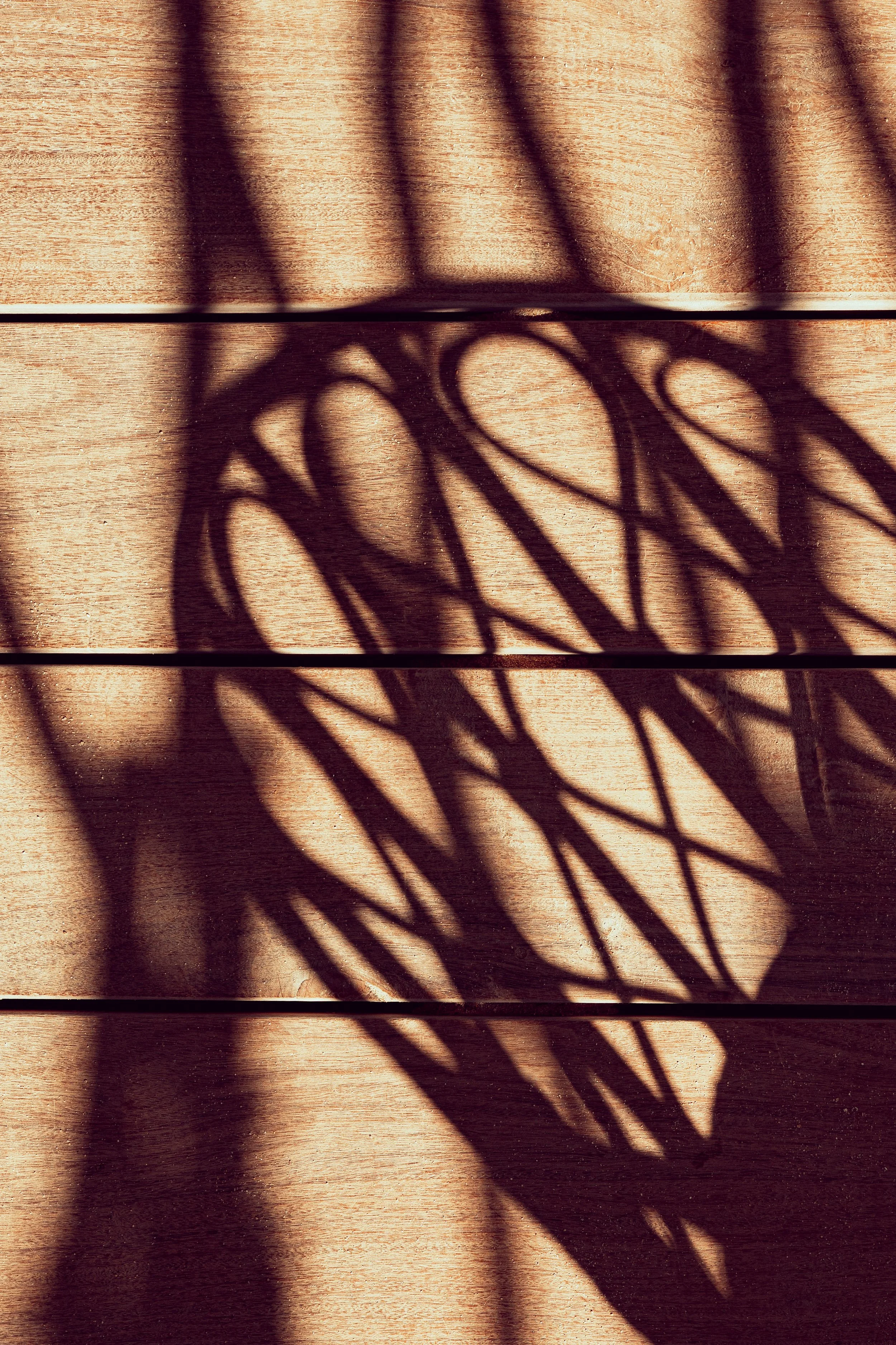 Cabane Bambou Septembre 20-110.jpg