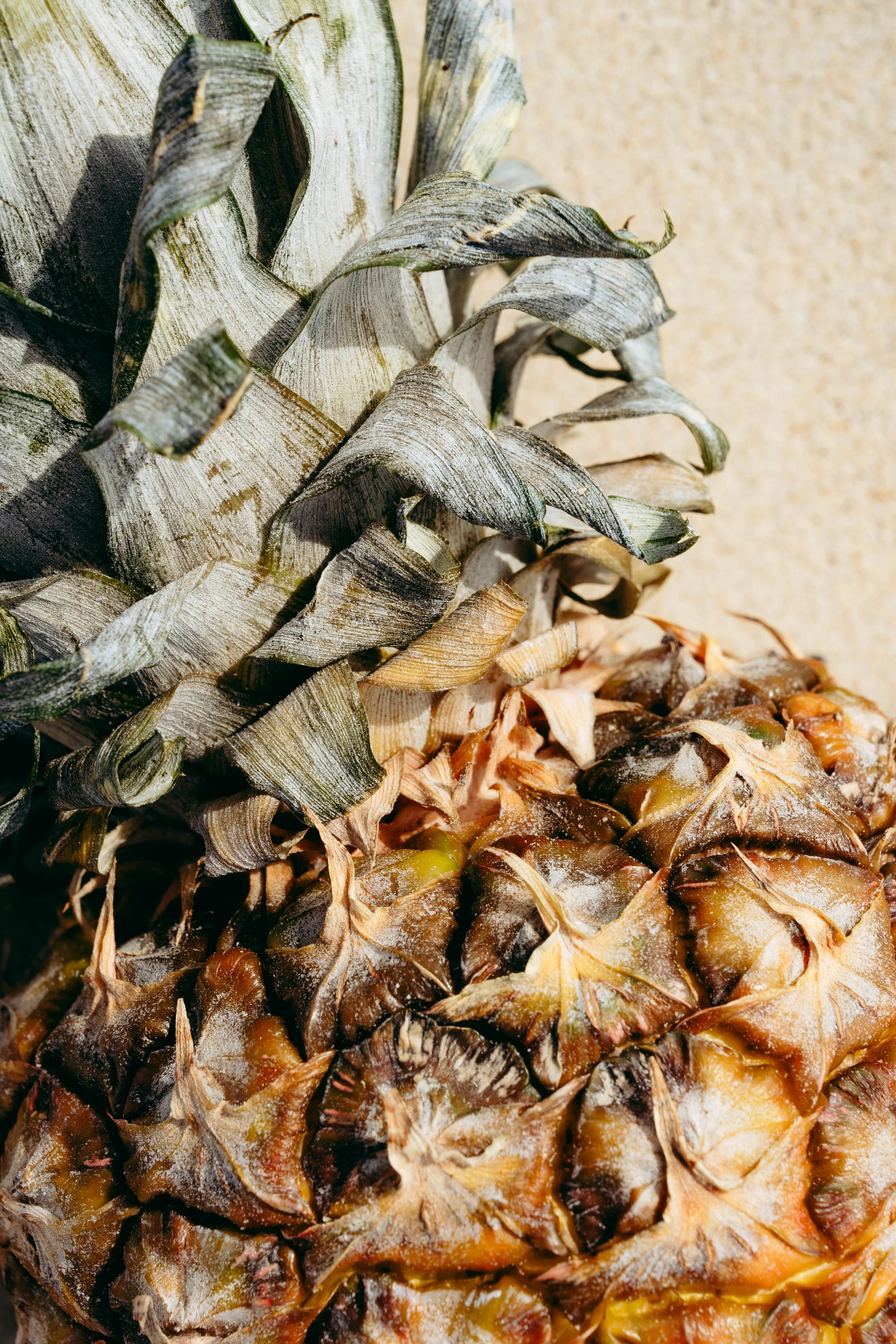 Narrae x Verde-7.jpg