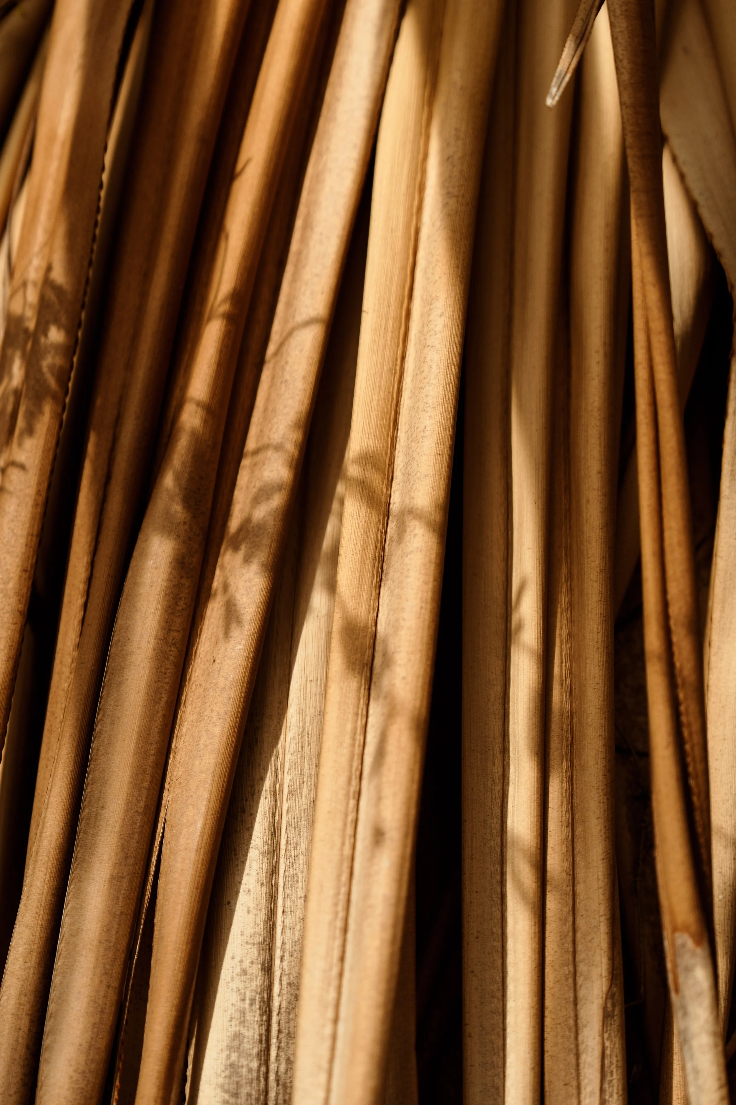 Voyage à Rodrigues TEST COULEURS-29.jpg