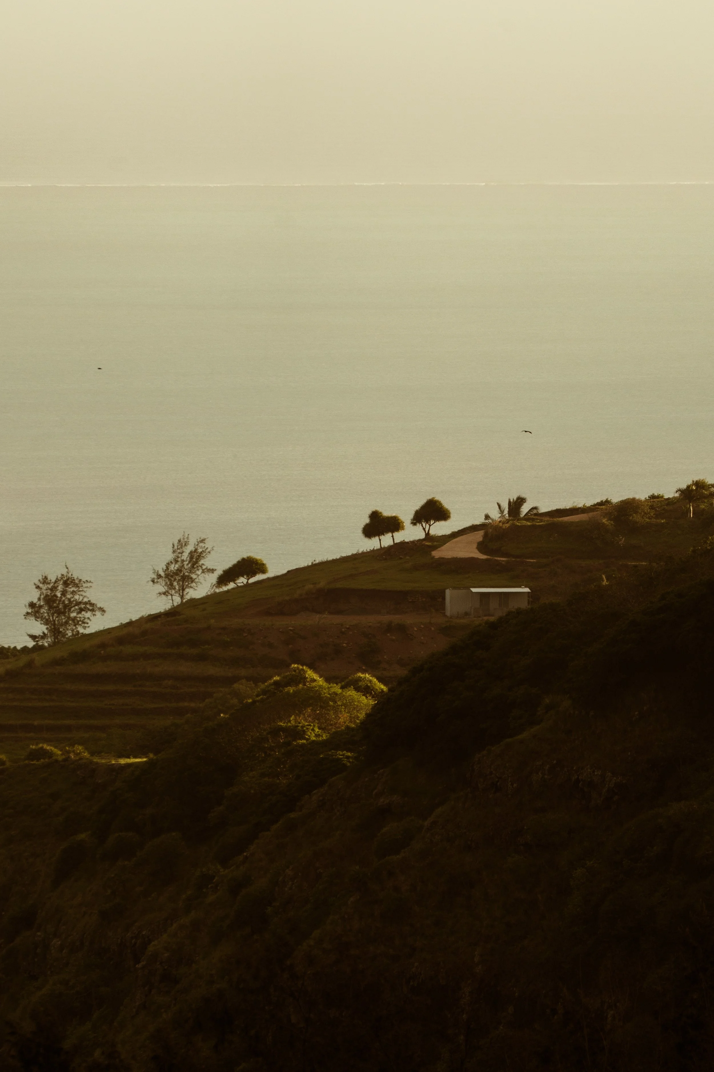 Voyage à Rodrigues TEST COULEURS-21.jpg