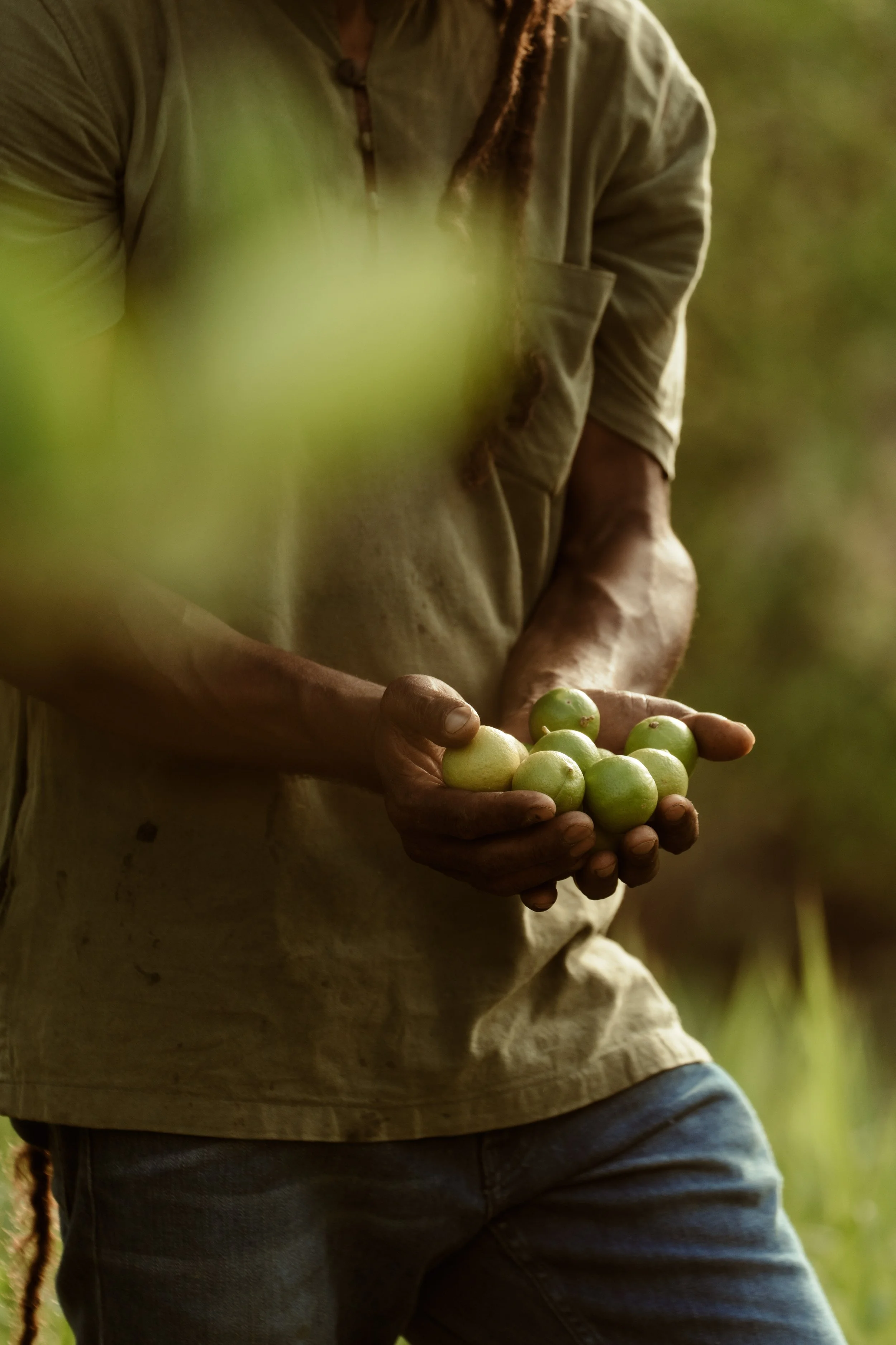 Voyage à Rodrigues TEST COULEURS-20.jpg