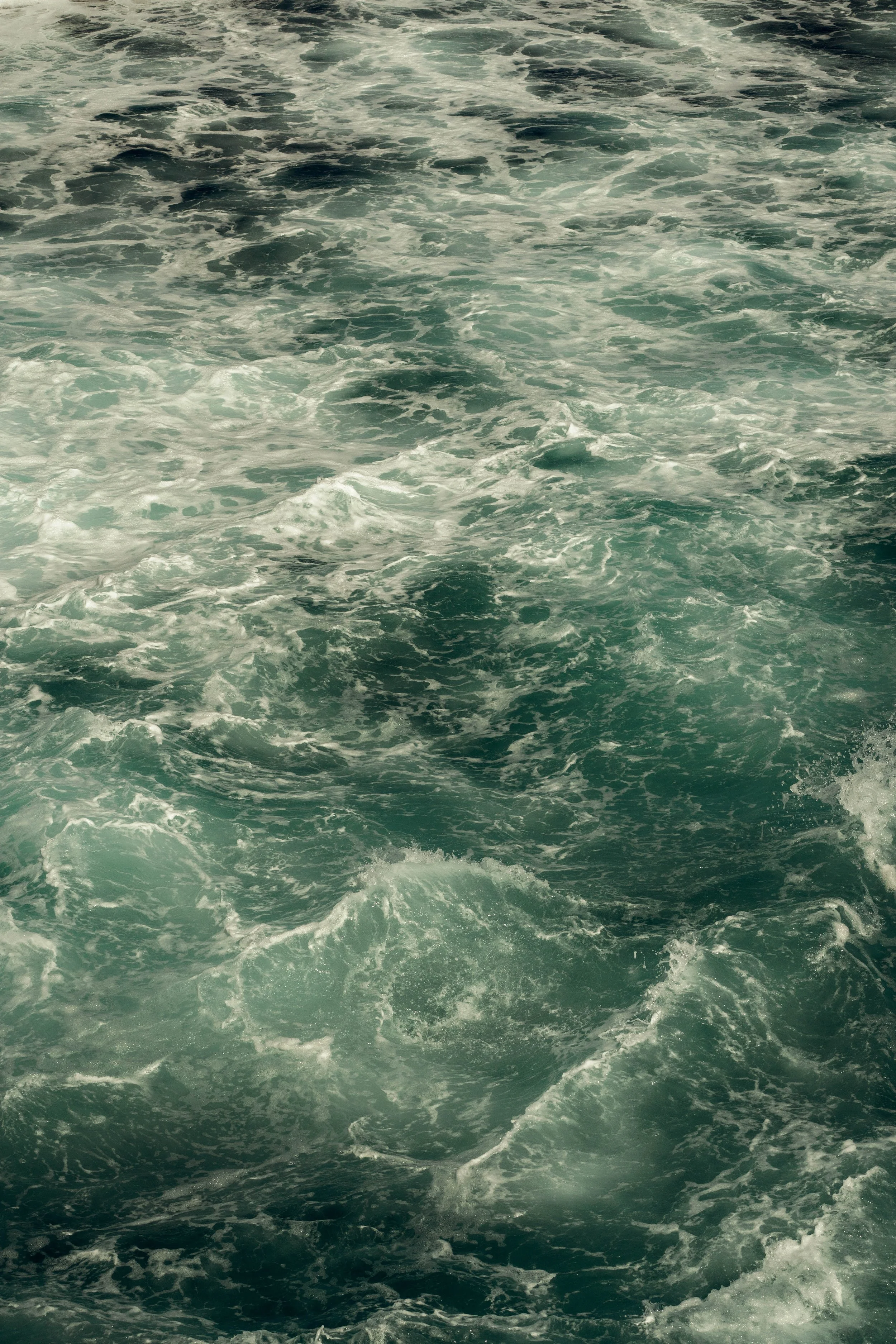 Voyage à Rodrigues TEST COULEURS-17.jpg