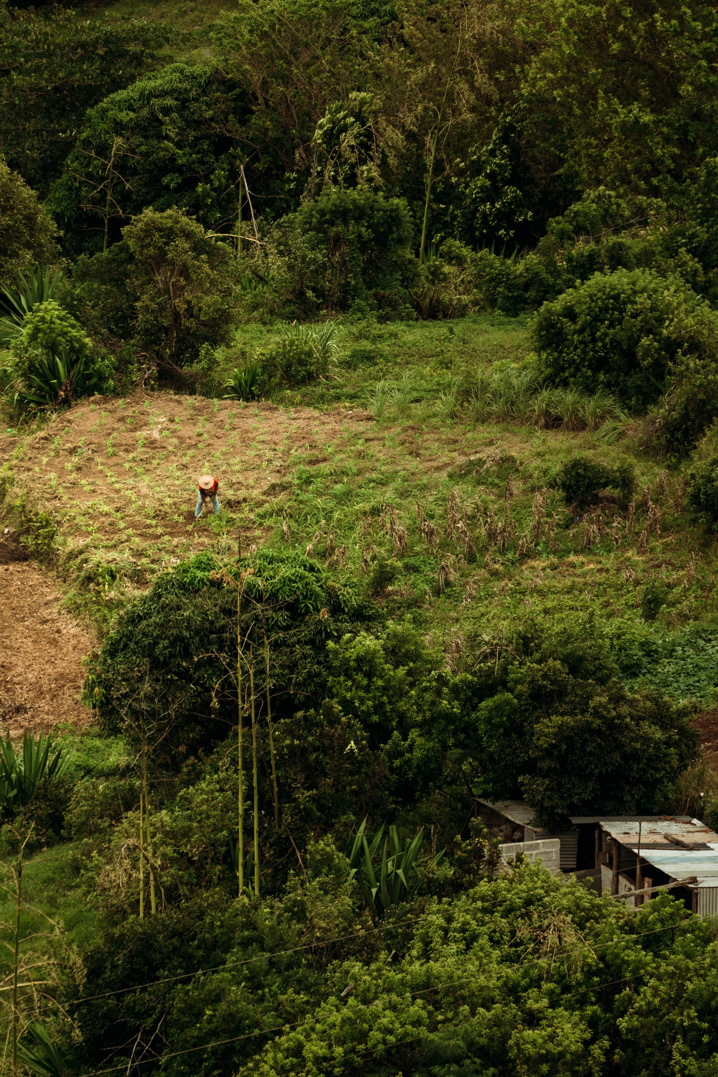 Voyage à Rodrigues TEST COULEURS-13.jpg