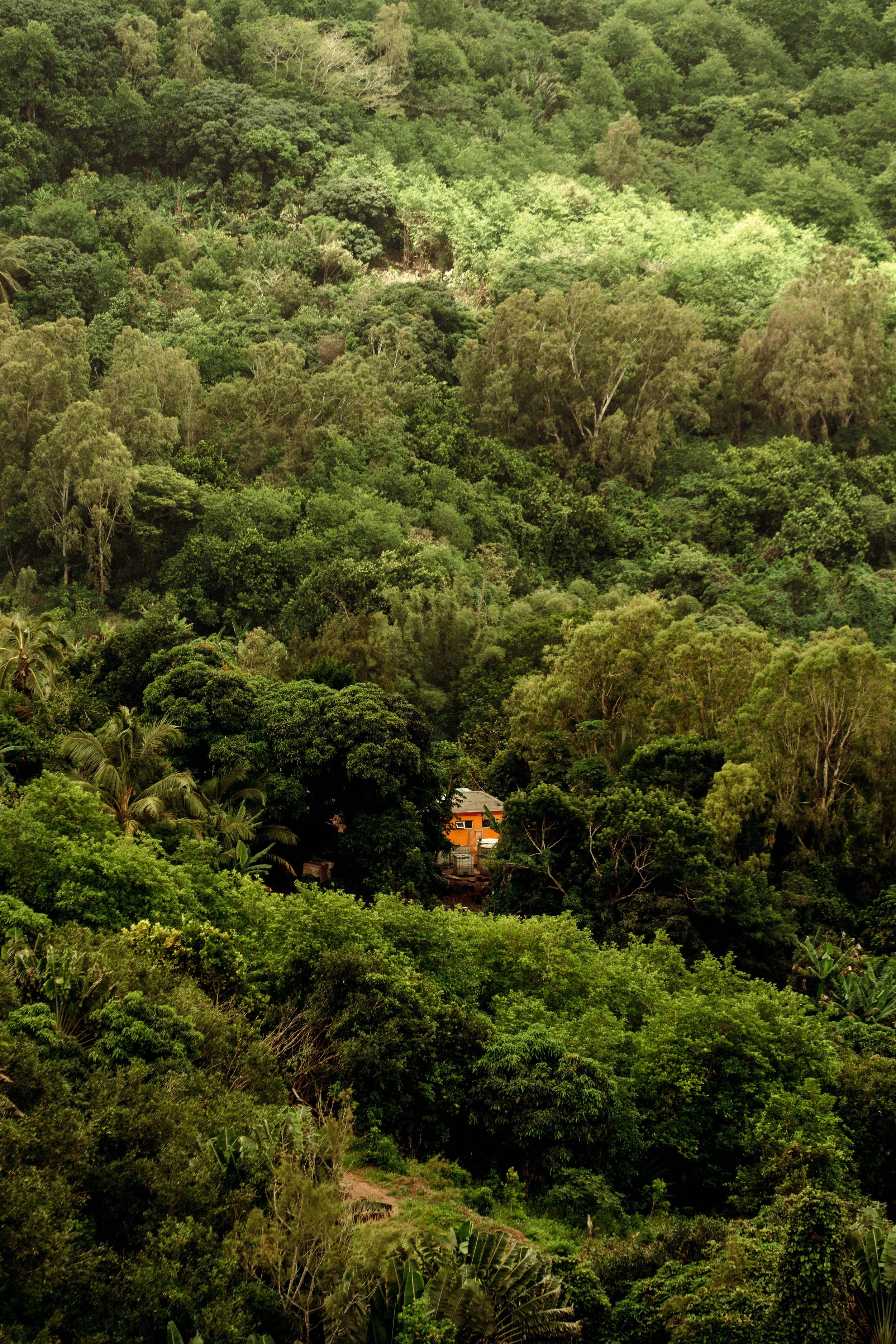 Voyage à Rodrigues TEST COULEURS-12.jpg