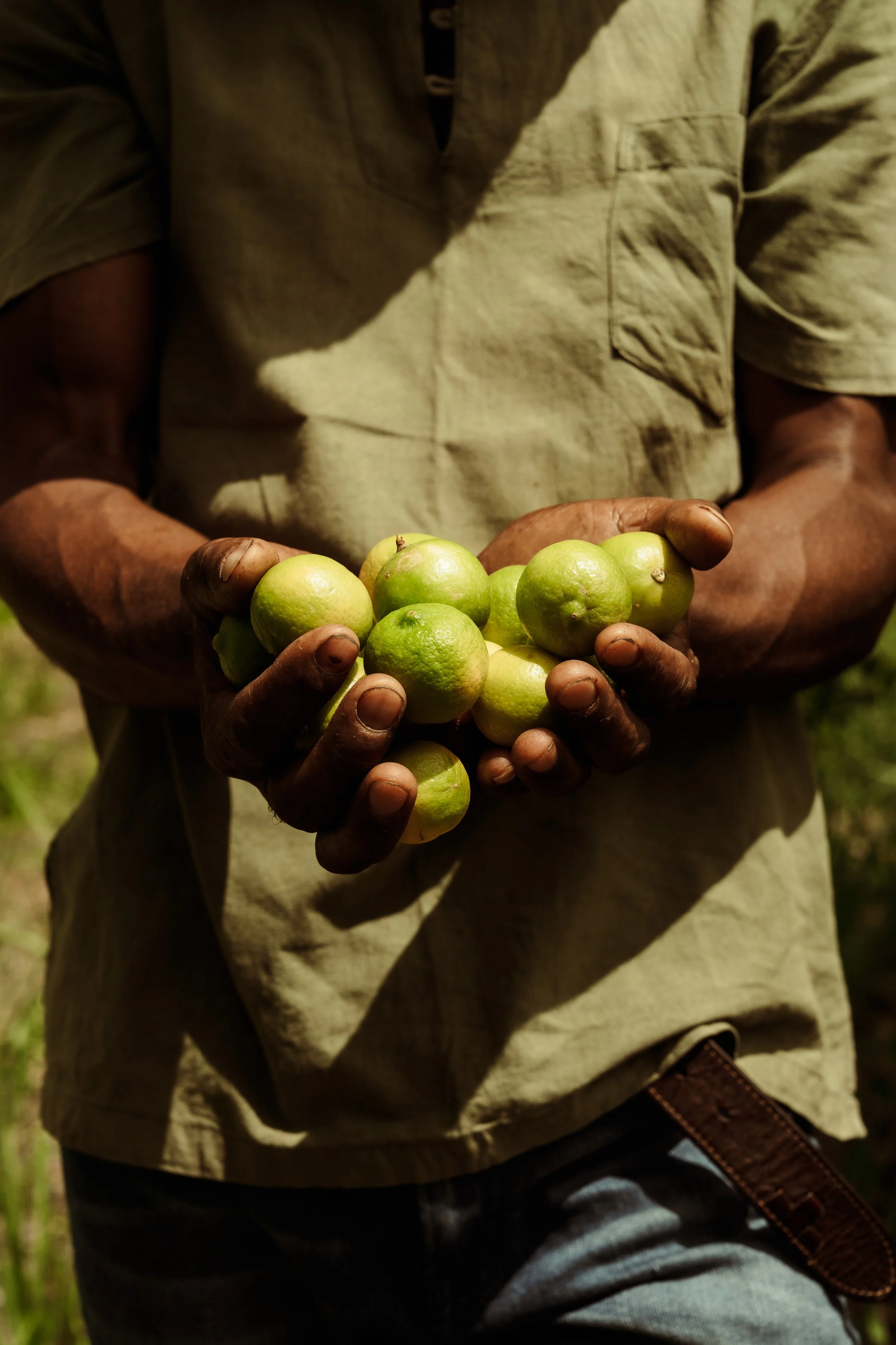Voyage à Rodrigues TEST COULEURS-11.jpg