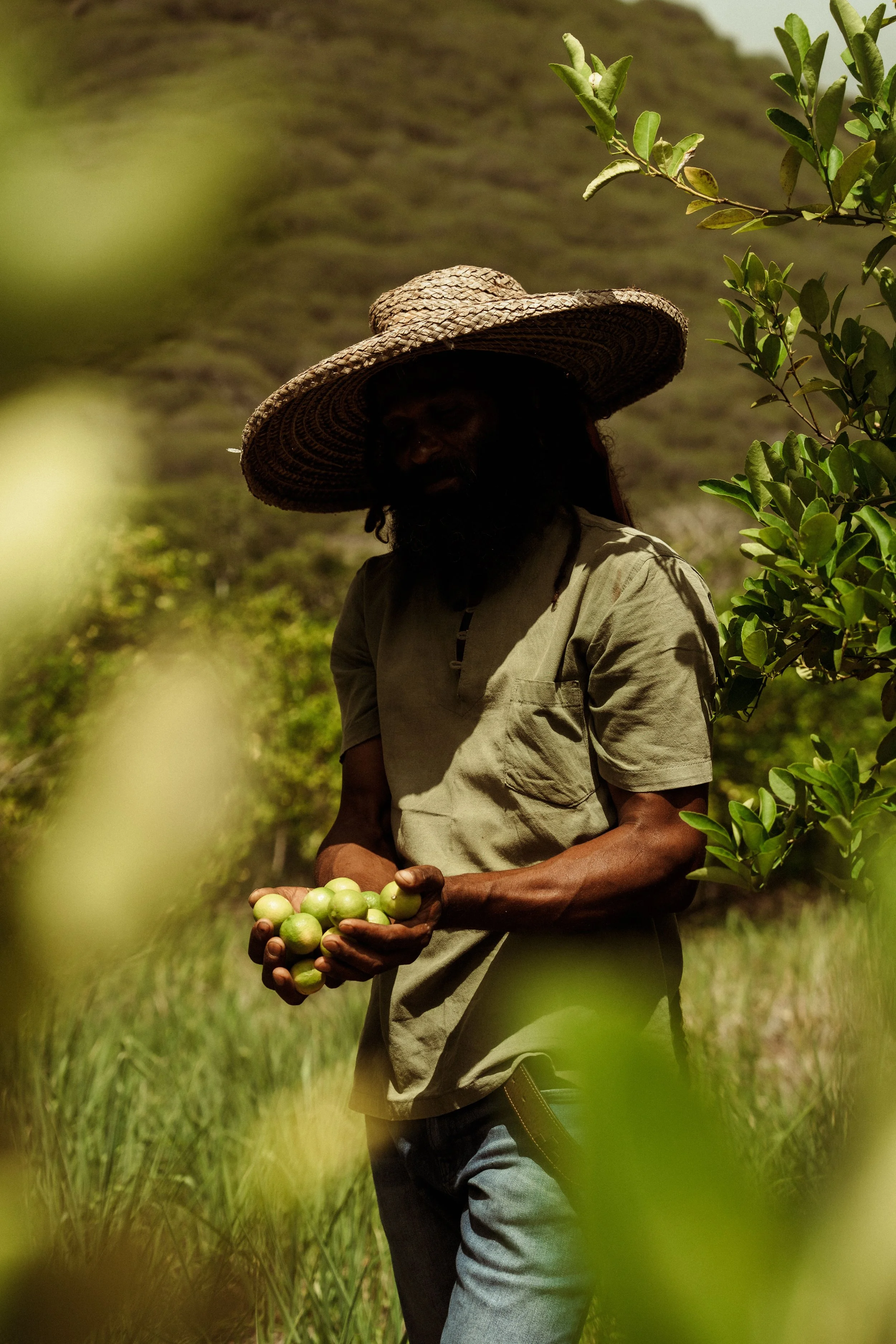 Voyage à Rodrigues TEST COULEURS-10.jpg