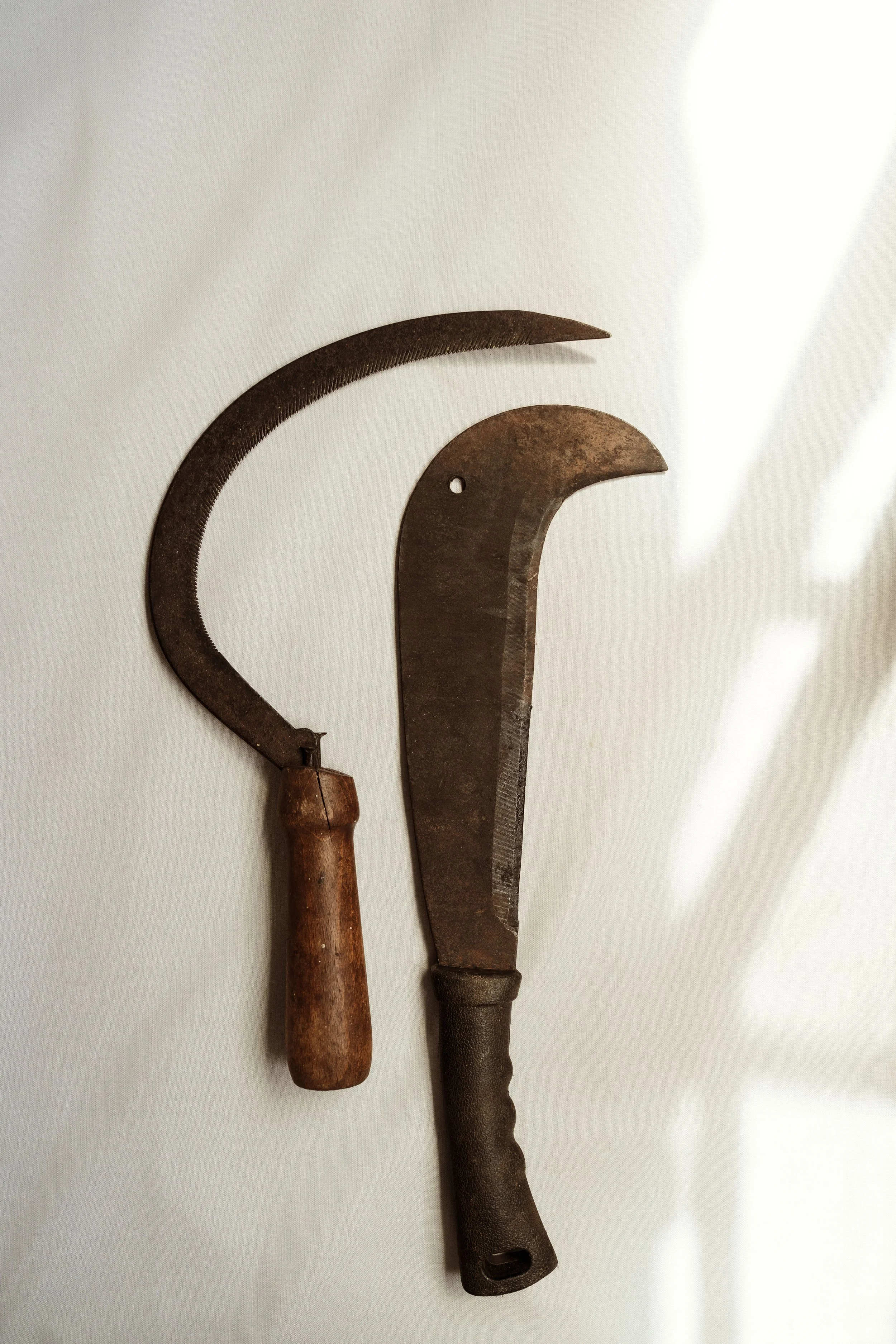 Voyage à Rodrigues TEST COULEURS-8.jpg