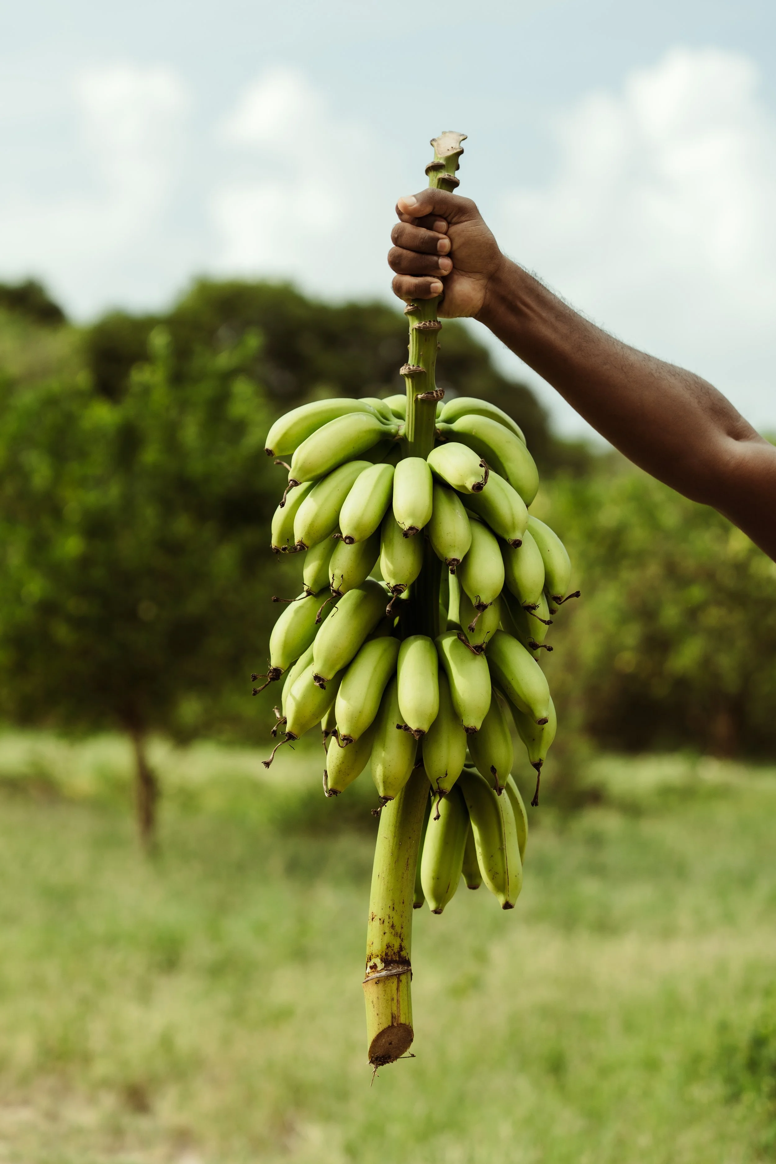 Voyage à Rodrigues TEST COULEURS-7.jpg