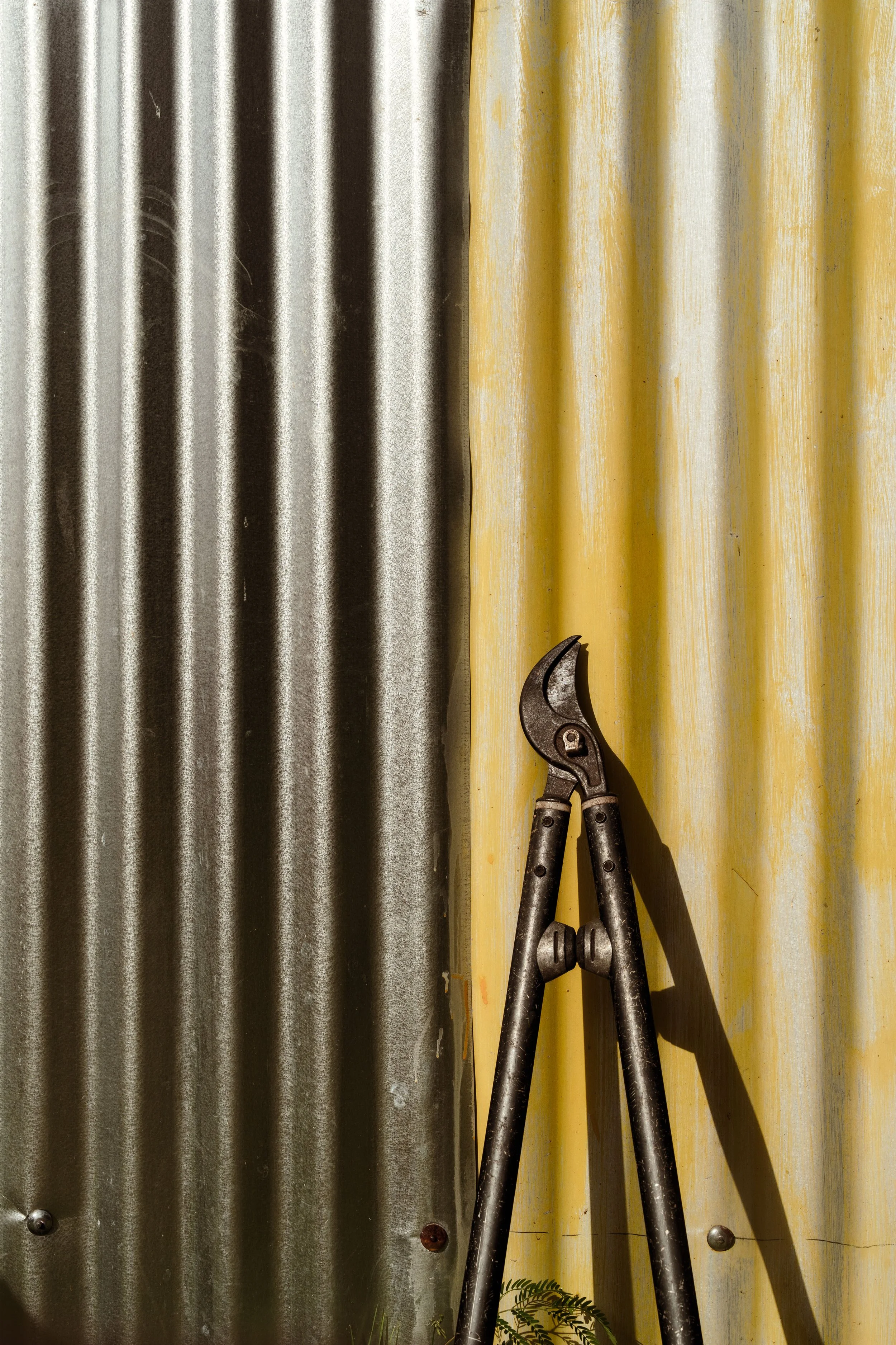 Voyage à Rodrigues TEST COULEURS-6.jpg