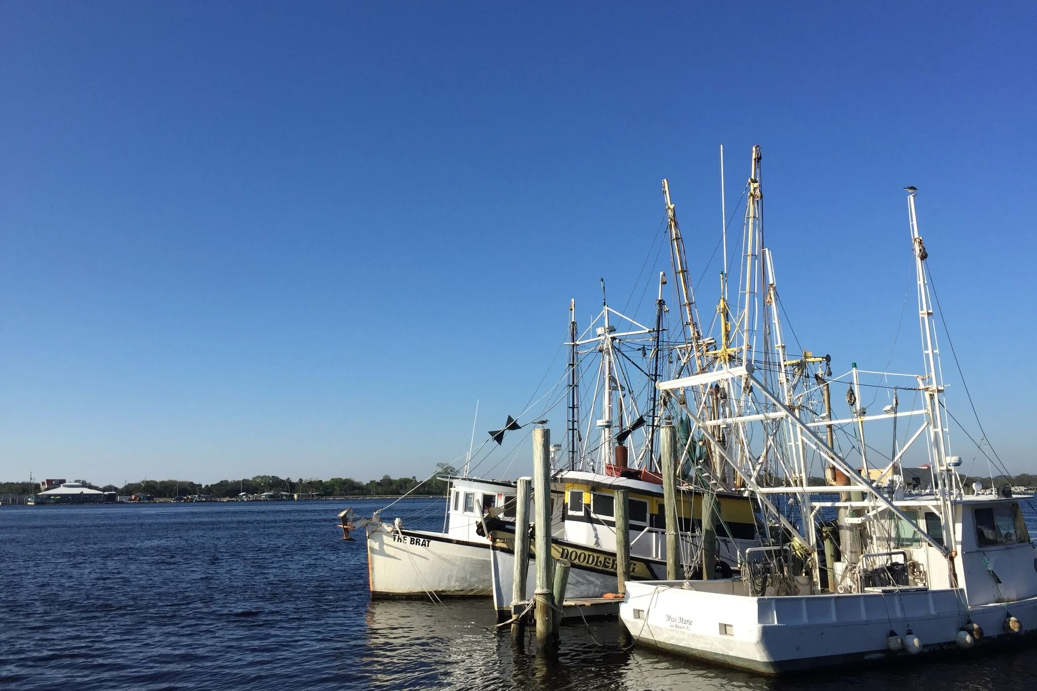 View from Singleton's Seafood Shack.