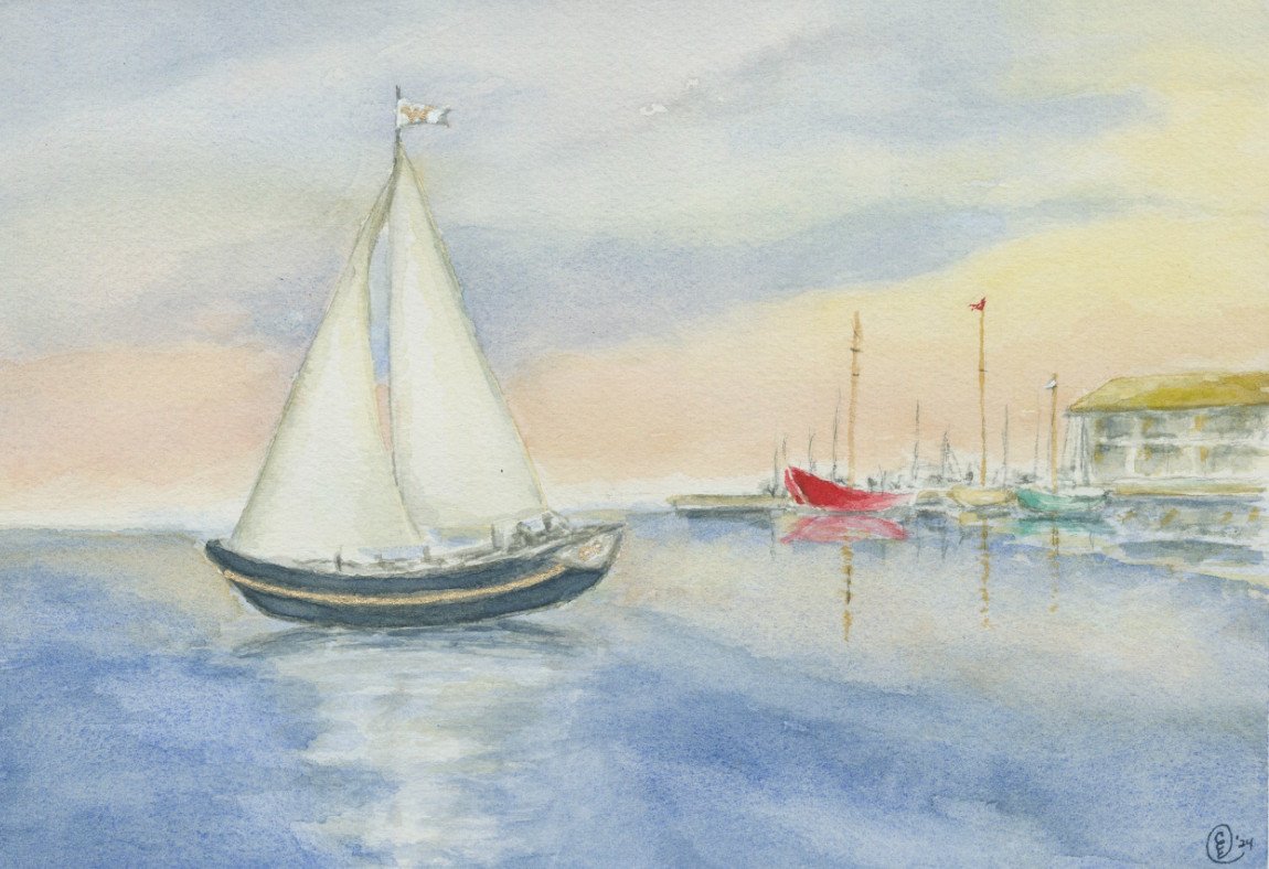CAROL WILLIAMSON