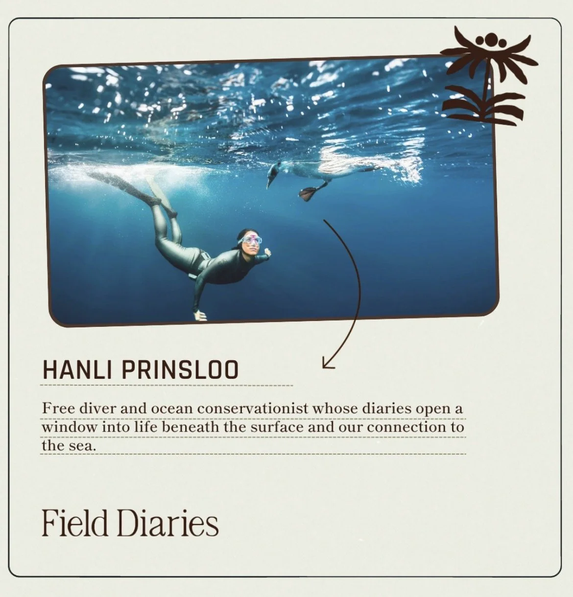 Field Diaries