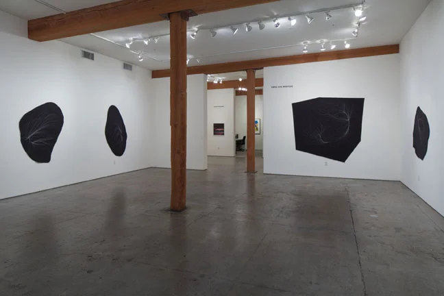Anna Von Mertens Shape/View September 7 - 30, 2017