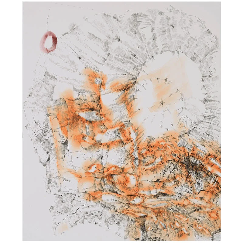 Treasure Island , 2015 graphite and pastel on paper 27 x 22.5" paper 30.5 x 26" framed Inquire >