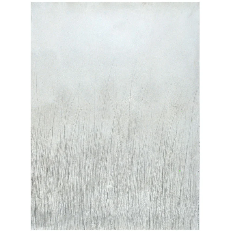 Passages #26 , 2015 pencil on paper 30 x 22" paper Inquire >