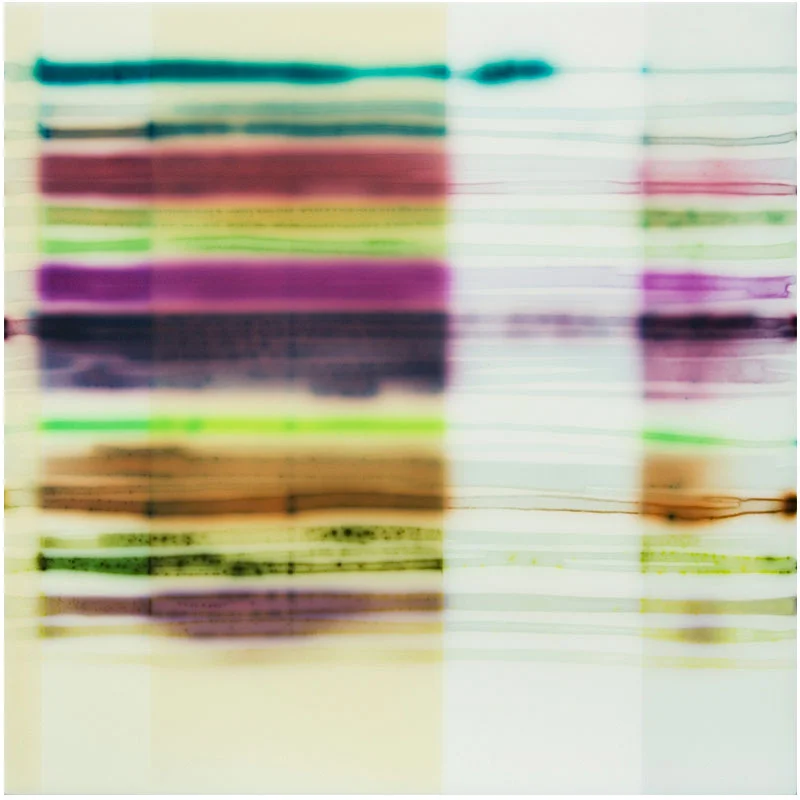 11 Samples , 2009 acrylic, stains, and spray paint on wood panel 11 x 11" Inquire >