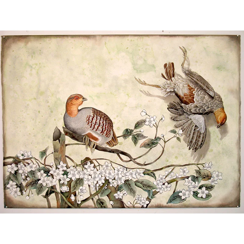Partridge in a Pear Tree , 2014 watercolor, ink, gouache on paper 23 x 30" Inquire >