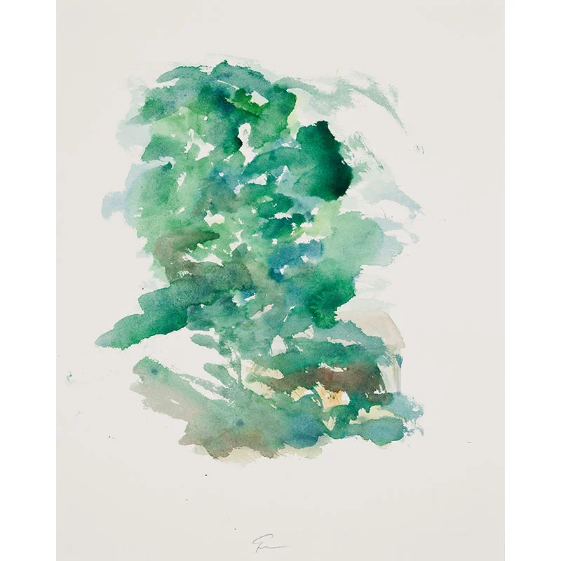 Aguila, Spain , 2009 watercolor on paper 20.5 x 16.25" paper Inquire >