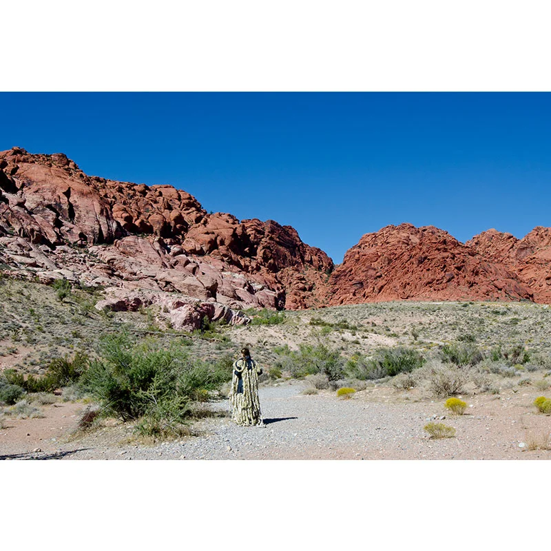 Desert , 2011 digital c-print 24 x 36" image 25 x 37" framed Edition of 5, 2AP Inquire >