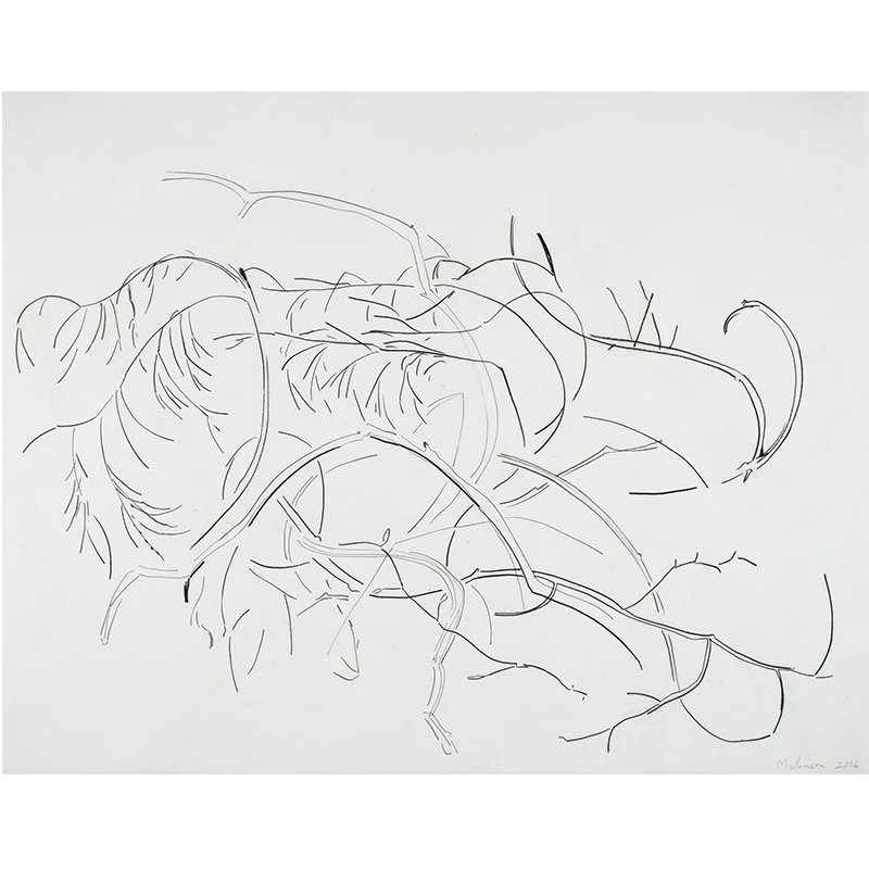 Landscape 12 (Astoria) , 2016 pen, pencil on vellum 20.5 x 25.5" Inquire >