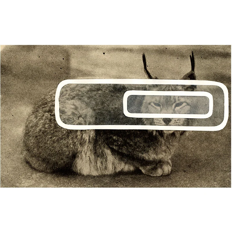Overlay Series: Lynx , 2005 digital print 24 x 38. 75" paper Edition of 3 Inquire >