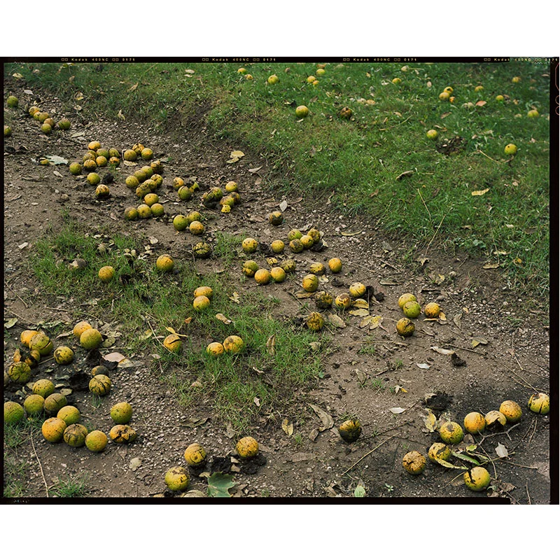 Untitled - RL189 , 2015/2016 archival pigment print 28 x 35" Edition of 3, 2AP Inquire >