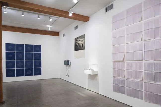 Ann Hamilton a reading November 2, 2013 - January 11, 2014