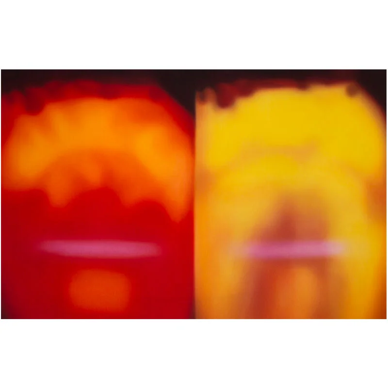 Sanjay and Shalini , 2013 hand-dyed cotton on wooden stretcher 34 x 52" Inquire >