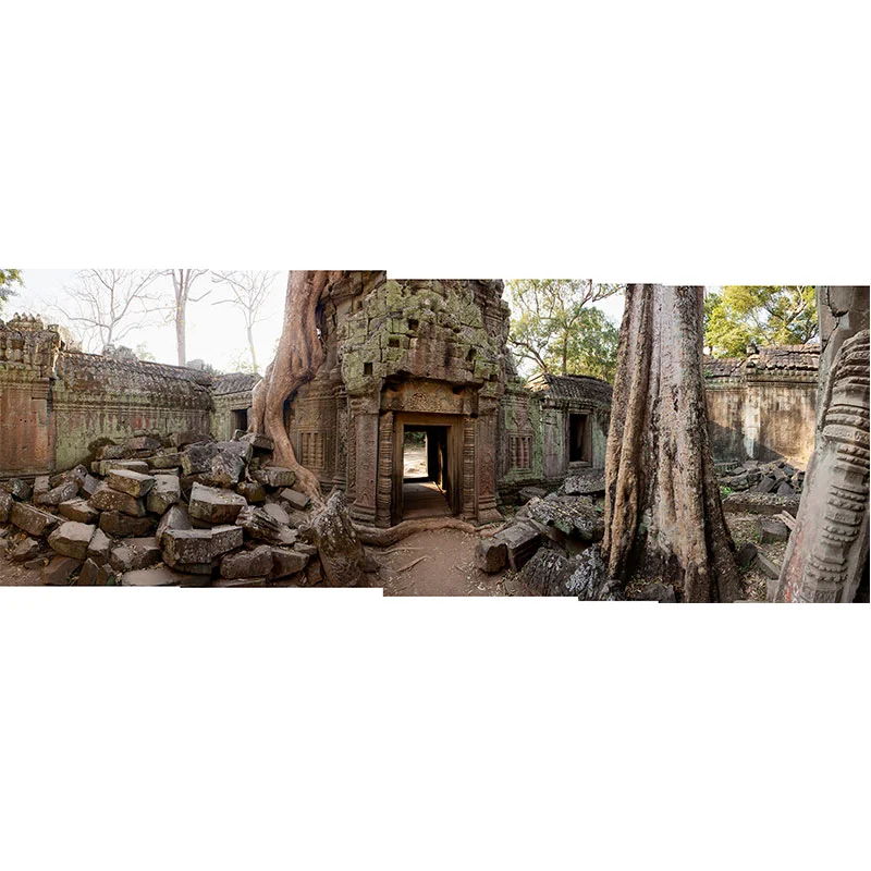 Angkor V , 2018 assembled archival inkjet print 19 x 49" image Inquire >