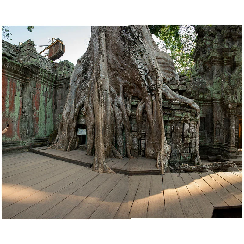 Angkor VI , 2018 assembled archival inkjet print 18 x 22" image Inquire >