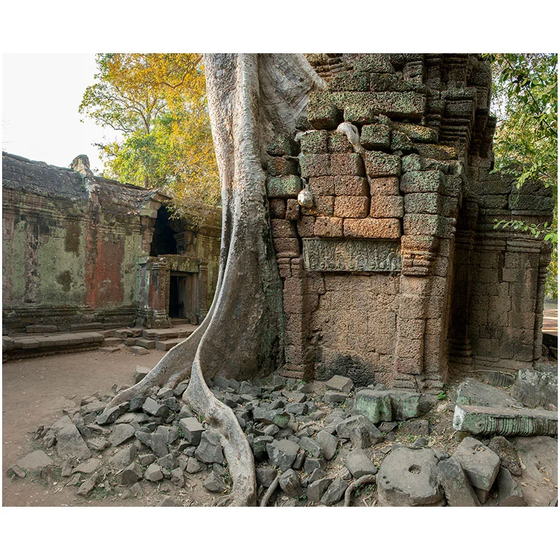 Angkor VII , 2018 assembled archival inkjet print 18 x 22" image Inquire >