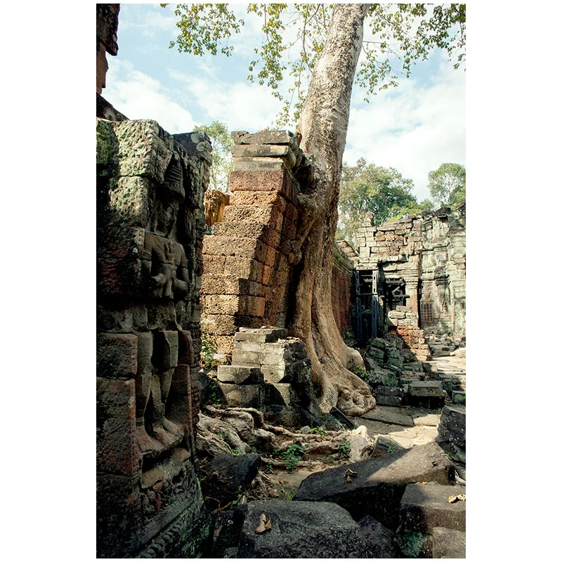 Angkor XII , 2018 assembled archival inkjet print 18 x 27" image Inquire >