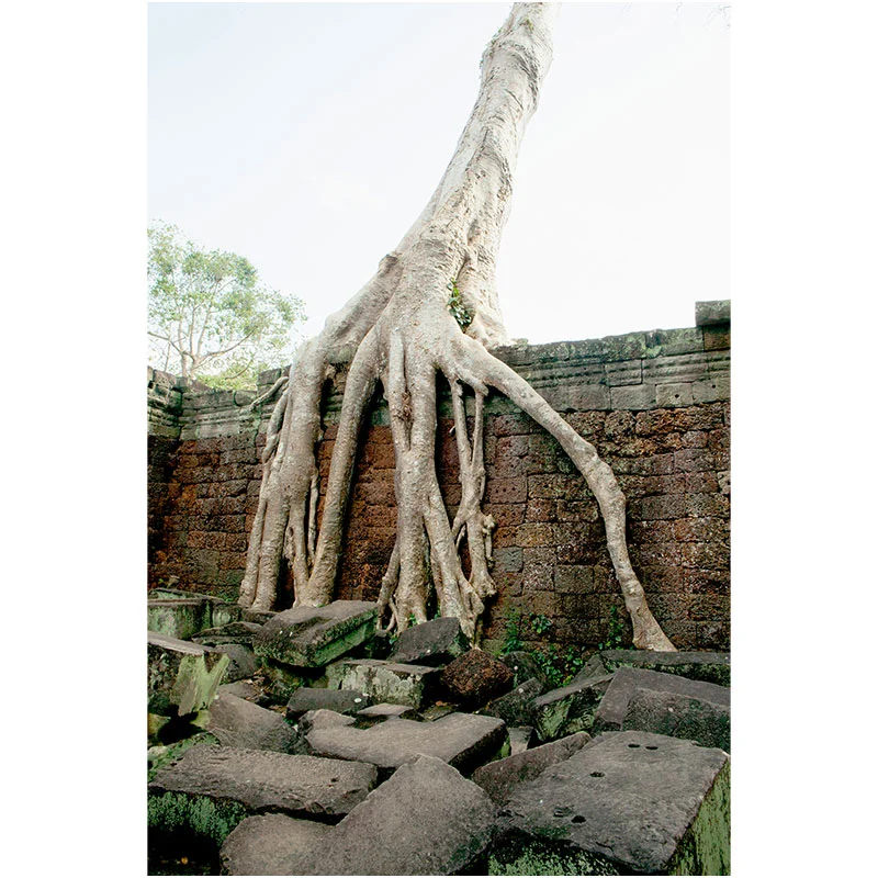 Angkor XIV , 2018 assembled archival inkjet print 18 x 27" image Inquire >
