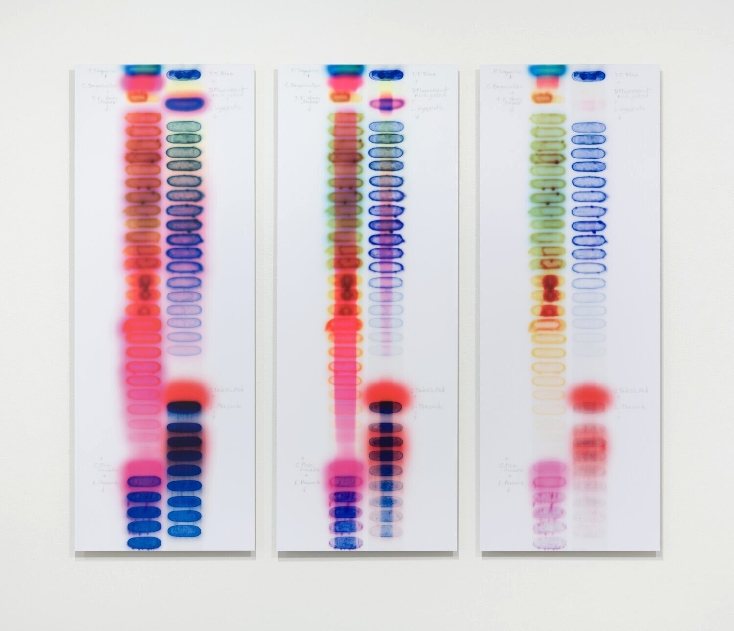   SunTest #3 (Day 1, 12, 35) , 2019 time-based image capture; dye sublimation on aluminum 50 x 18.5” each (triptych) Edition of 3 