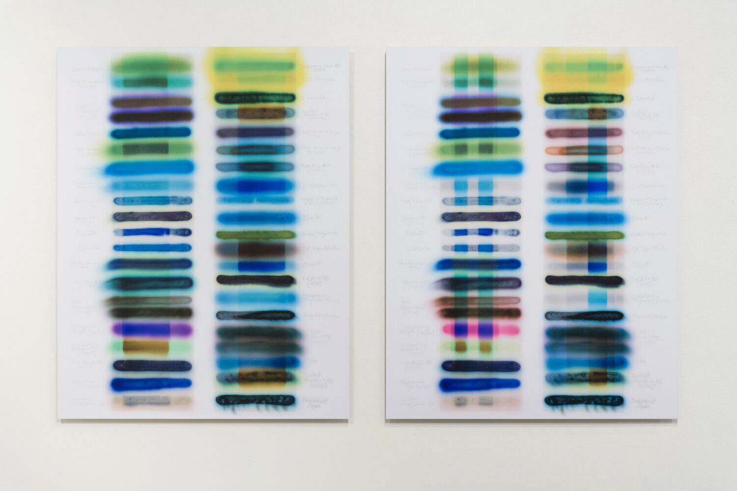   SunTest #12 (Day 5 &amp; 11) , 2020 time-based image capture; dye sublimation on aluminum 42 x 33" each (diptych) Edition of 3 