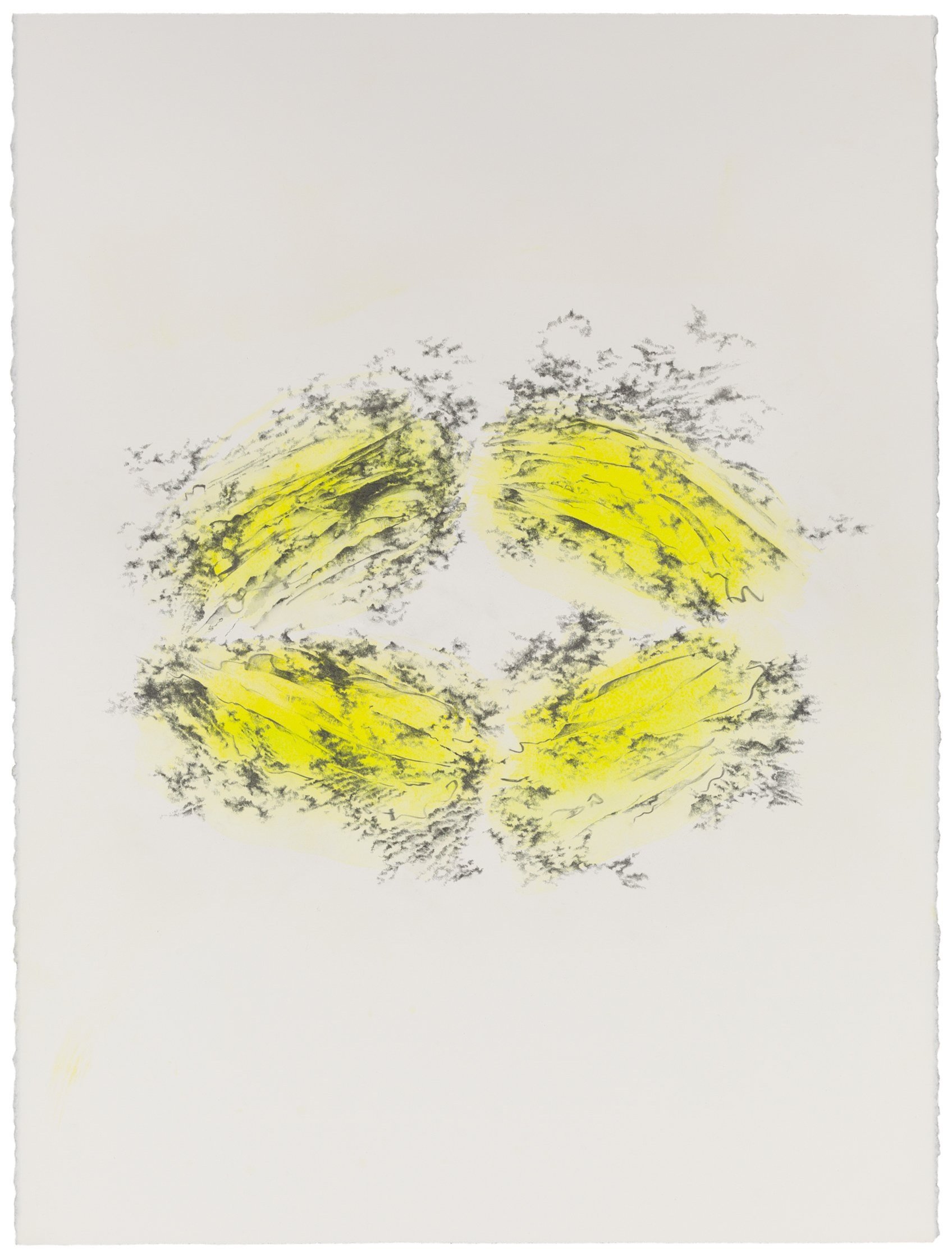   Christine Bourdette   Fumarole 3 , 2021 graphite and, water-soluble colored pencil on paper 35.25 x 27.5" framed&nbsp;  INQUIRE&gt;  