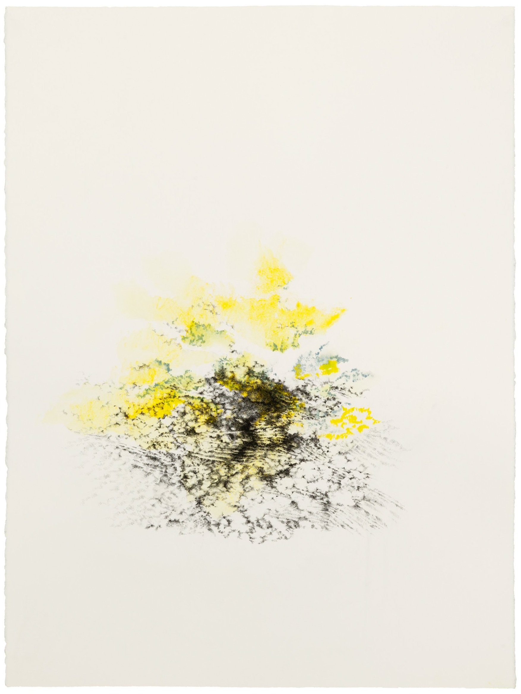   Christine Bourdette   Fumarole 5 , 2020 graphite and water-soluble colored pencil on paper 35.25 x 27.5" framed&nbsp;  INQUIRE&gt;  