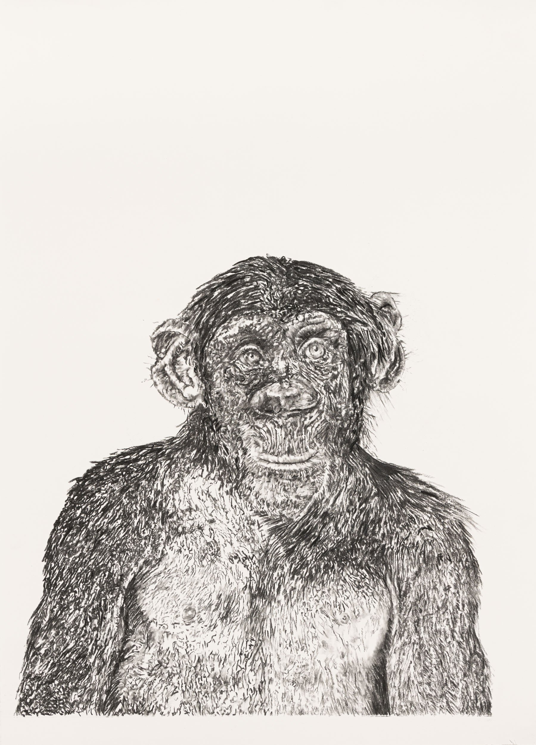   Self Portrait as Dionysus , 2021                                      graphite on paper                                                                  36 x 26.5" paper                                                                   41 x 31" fra