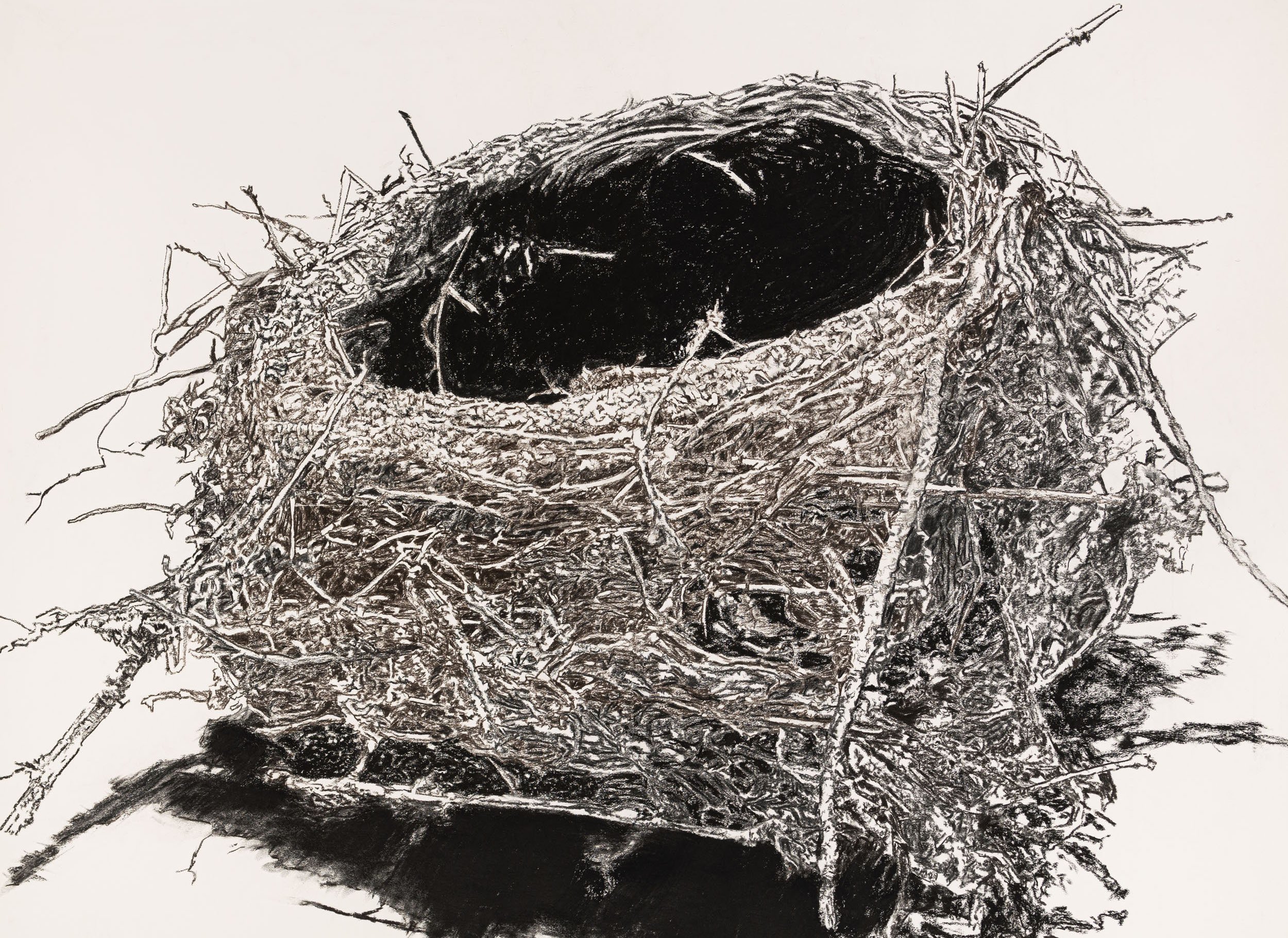   Egg's Nest , 2022  graphite on paper 42.25 x 57” paper 43.5 x 63.5” framed 