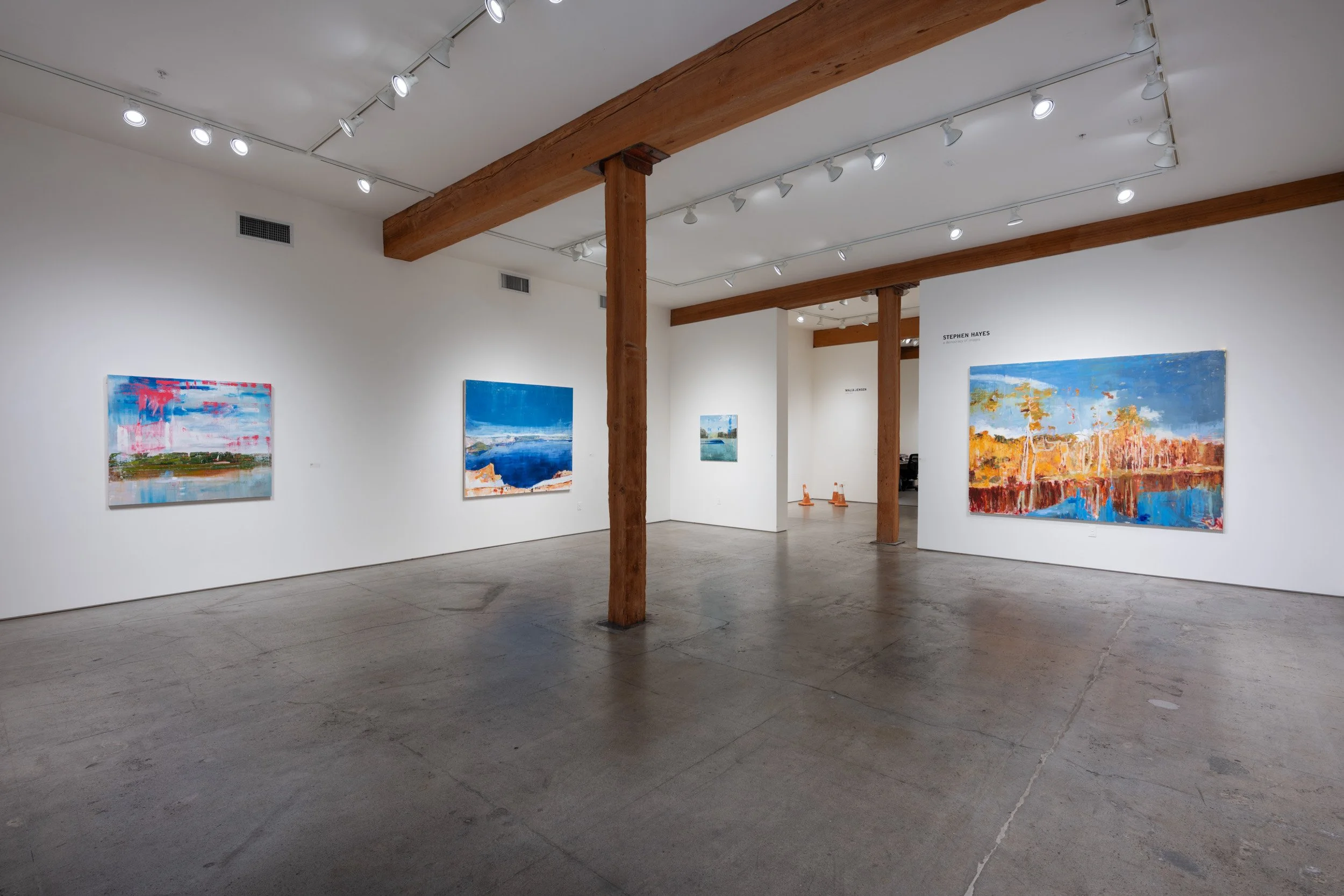  Stephen Hayes  a democracy of images  November 2 - December 30, 2023 