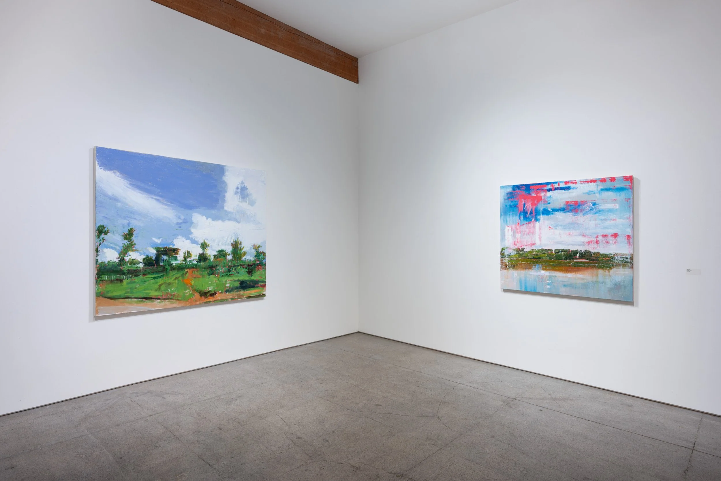  Stephen Hayes  a democracy of images  November 2 - December 30, 2023 