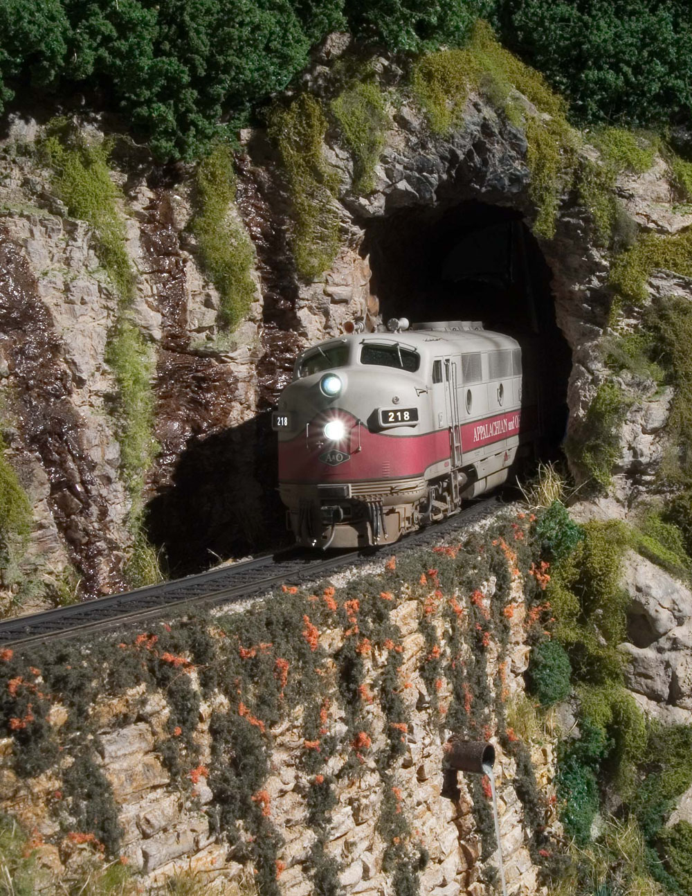  Bob Sobol's beautifully detailed P&amp;D Hobbies F3 #218 exits Speedy Tunnel at milepost 234. 