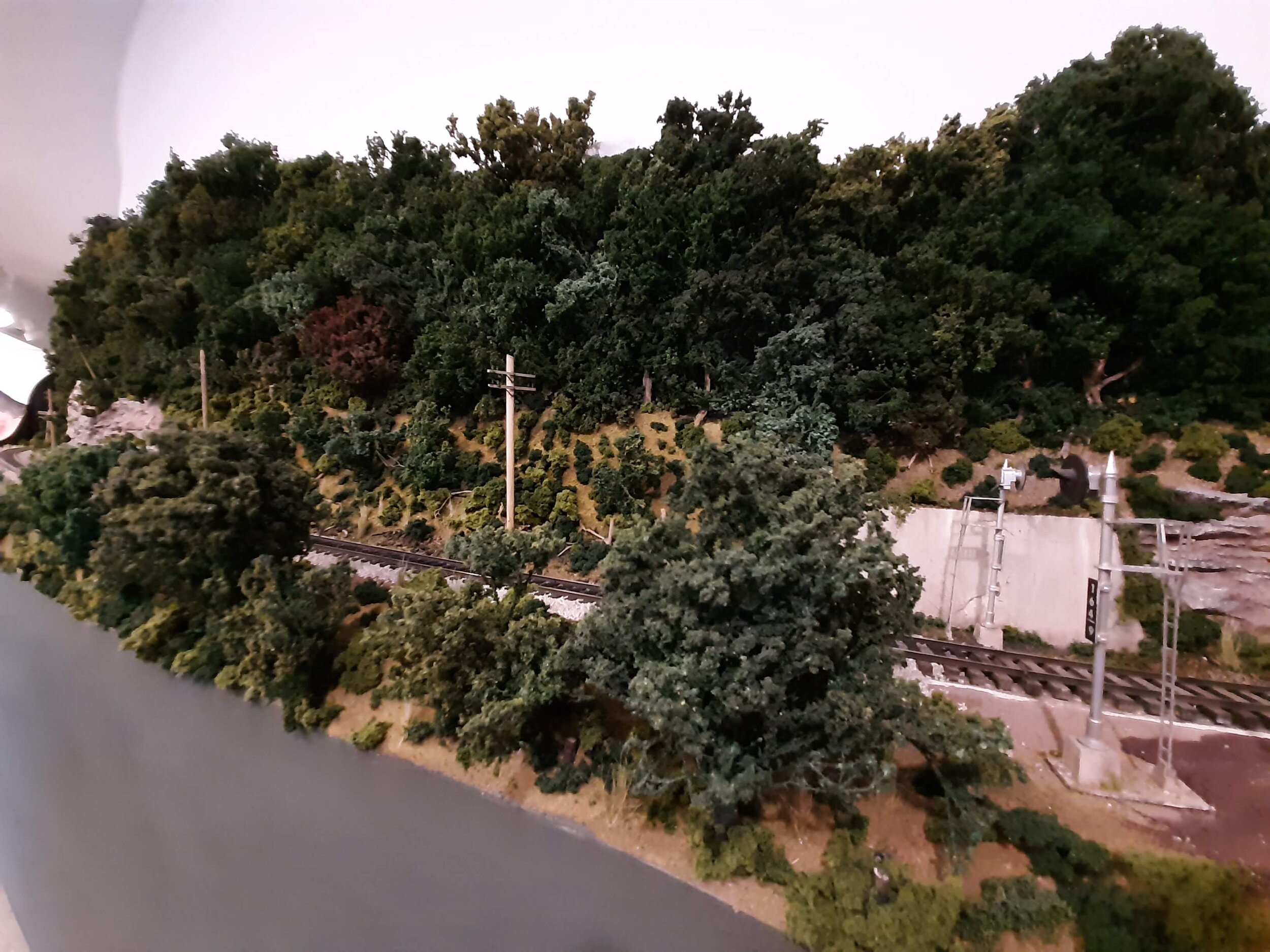  Even though the front edge of the scene is intentionally lowered (see Scenery- Landforms), where width allows, an occasional foreground tree allows trains to play peek-a-boo. Fun for the crew and great for photos.   