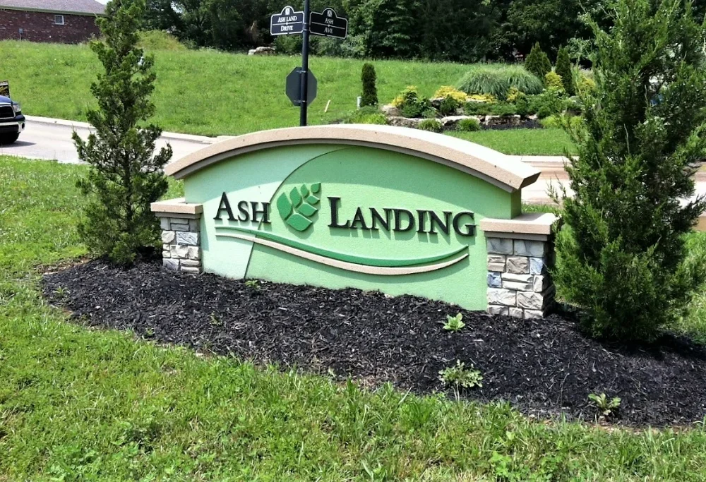 Ash+Landing.webp