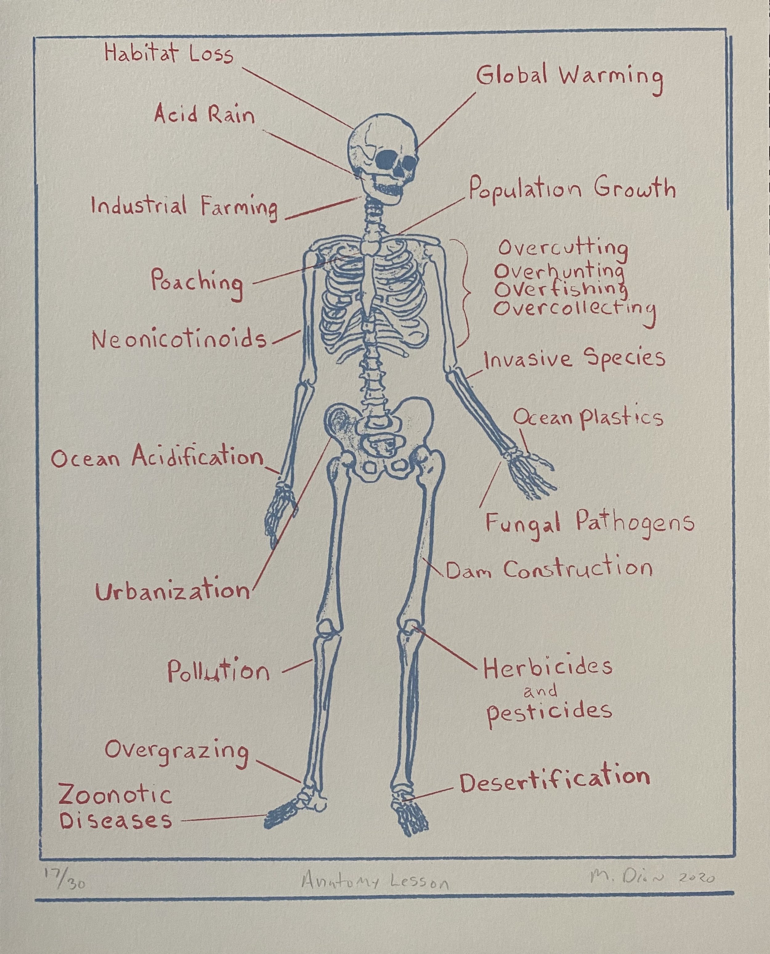 DionMark2_Anatomy Lesson.jpg