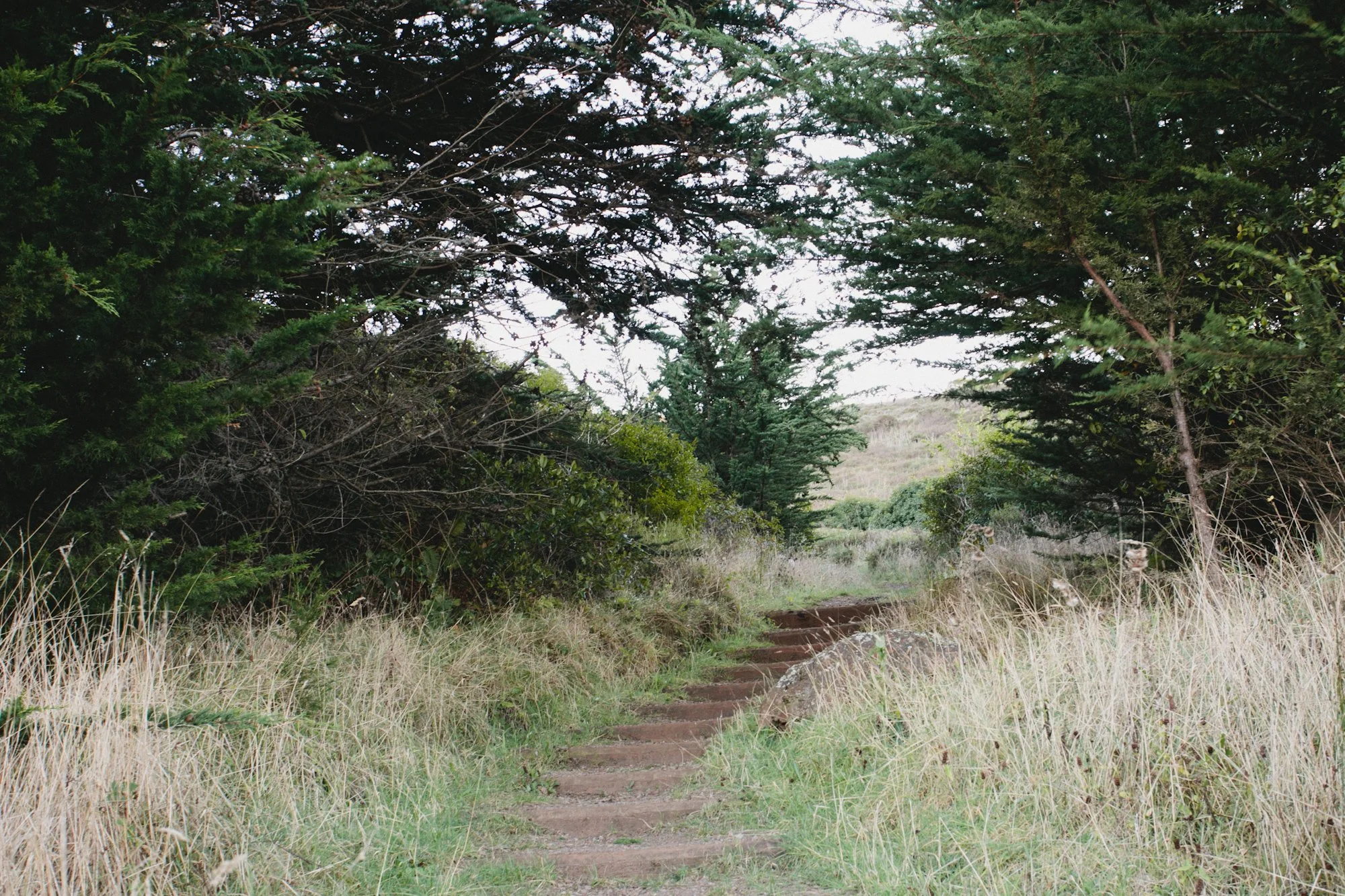 HCA Landscape_trailhead_AndriaLo.jpg