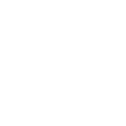 pandora.webp