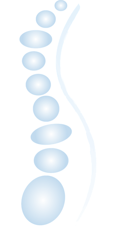 spine-2129816__480.png