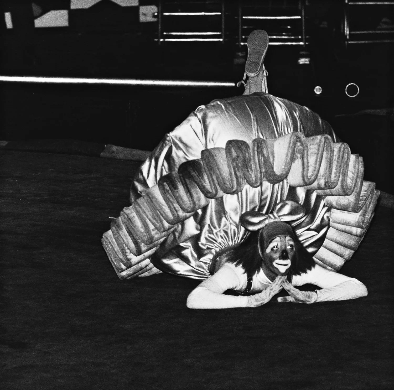   Clown Ballerina  